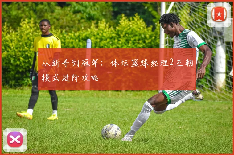 从新手到冠军：体坛篮球经理2王朝模式进阶攻略