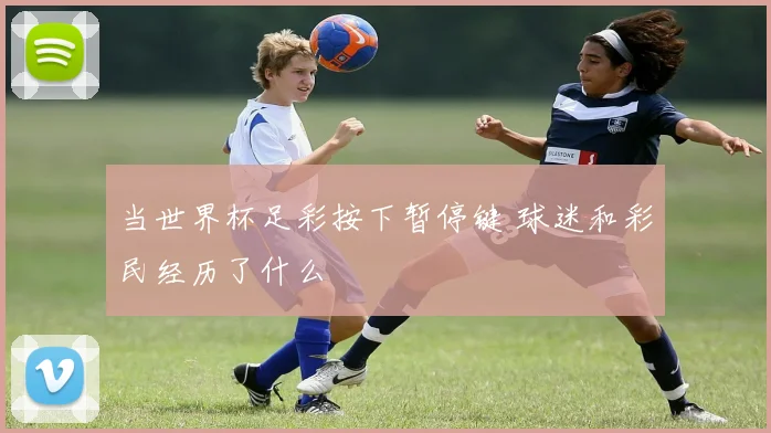 当世界杯足彩按下暂停键 球迷和彩民经历了什么