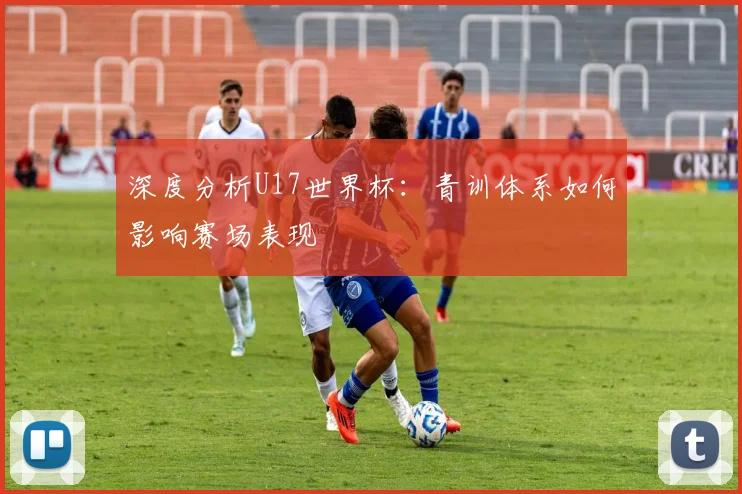 深度分析U17世界杯:青训体系如何影响赛场表现