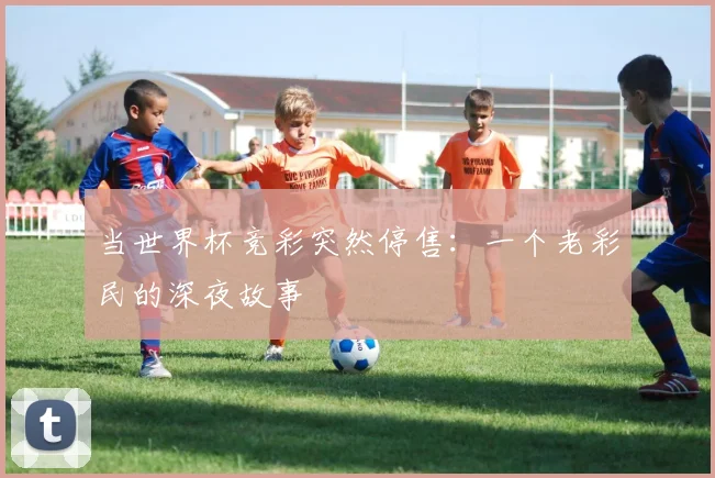 当世界杯竞彩突然停售：一个老彩民的深夜故事