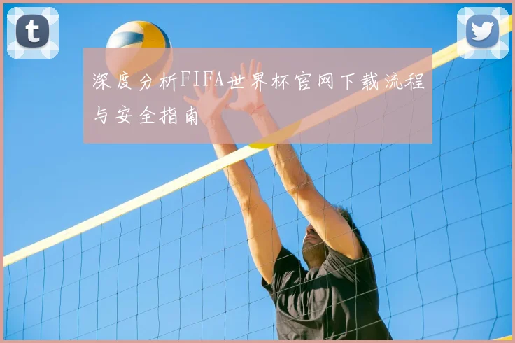 深度分析FIFA世界杯官网下载流程与安全指南