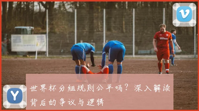 世界杯分组规则公平吗？深入解读背后的争议与逻辑