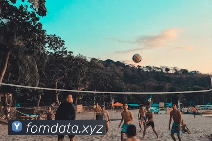 意昂体育官网登录平台生态图